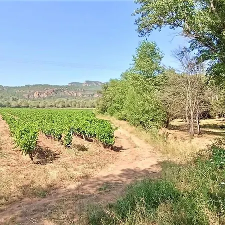 Superbe Cadre Campagne Villa Roquebrune-sur-Argens